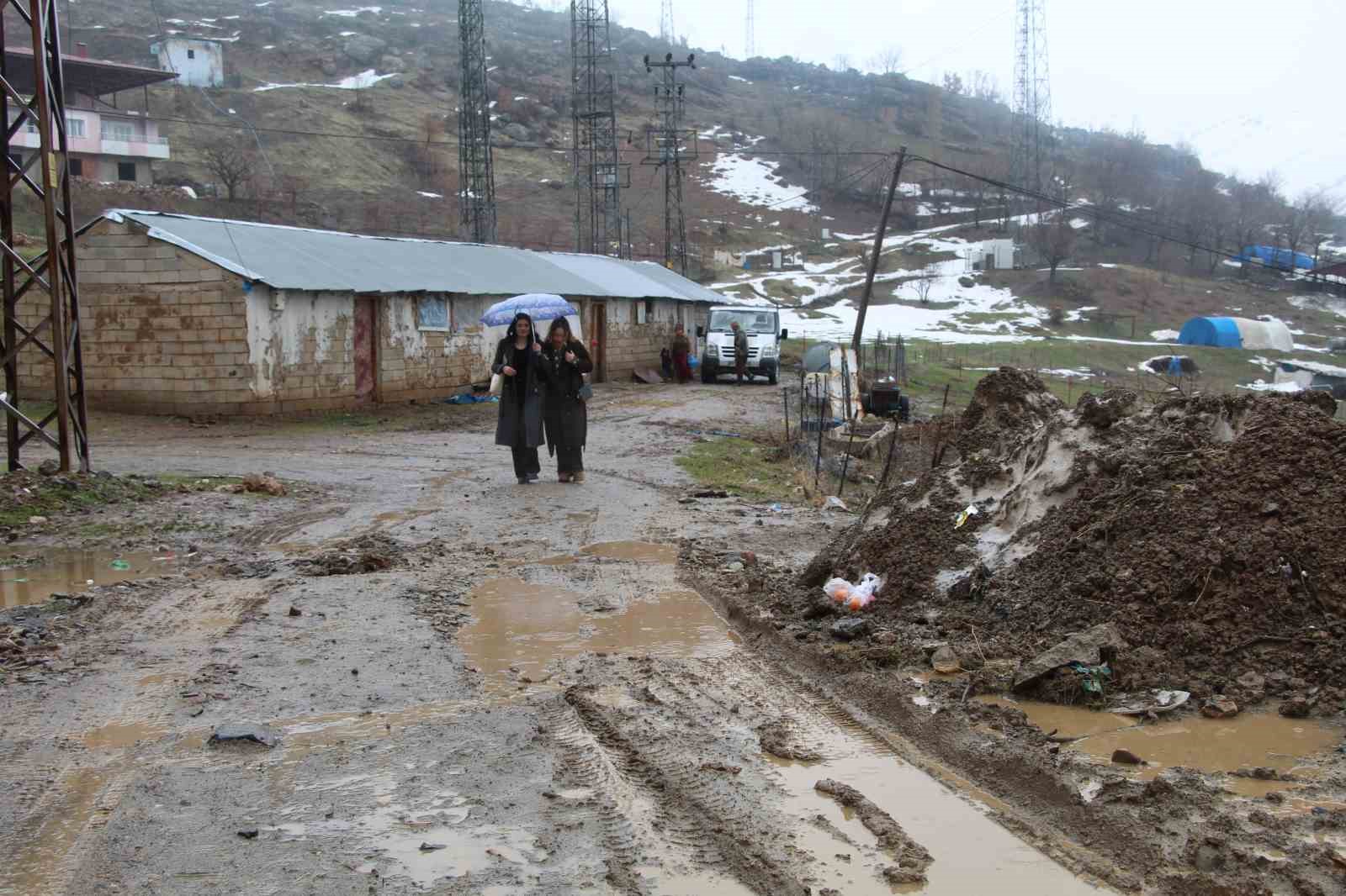 Chicago’da ev bakarken, kendini Şırnak’ta buldu
