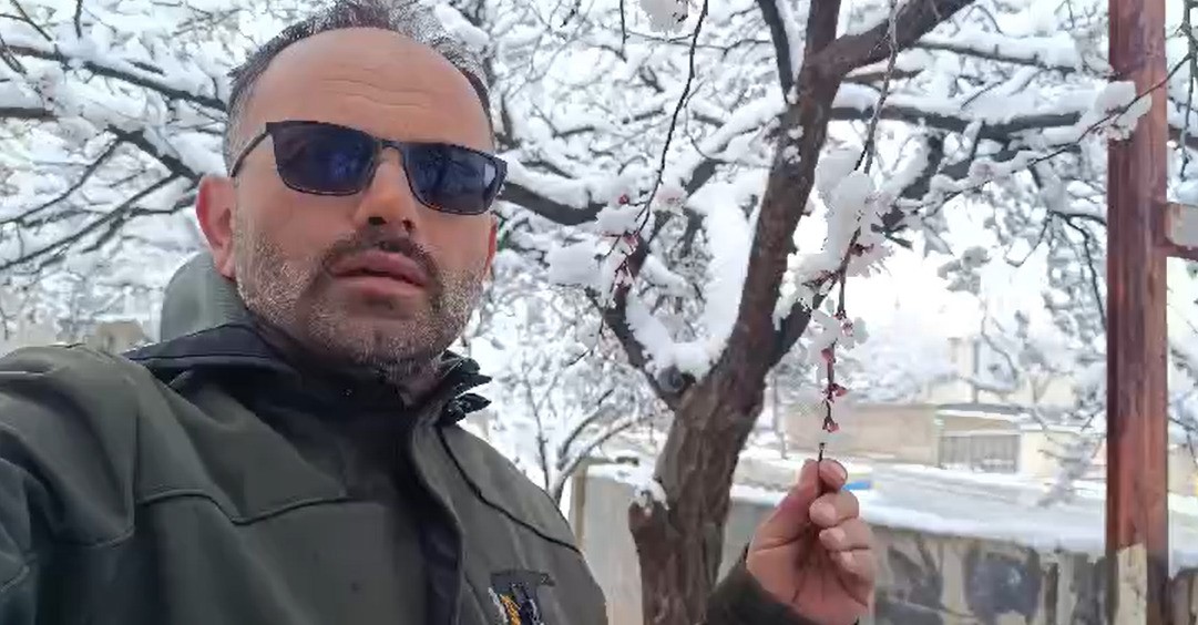 Çiçek açan ağaçlar yağan karla beyaza büründü
