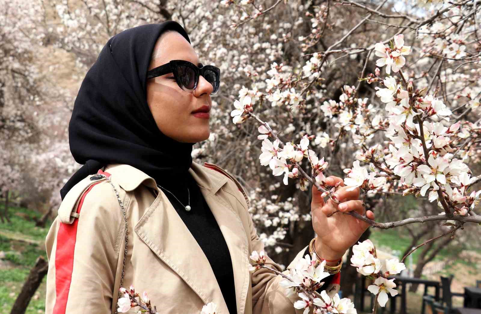 Çiçek açan ağaçların görselliği mest etti
