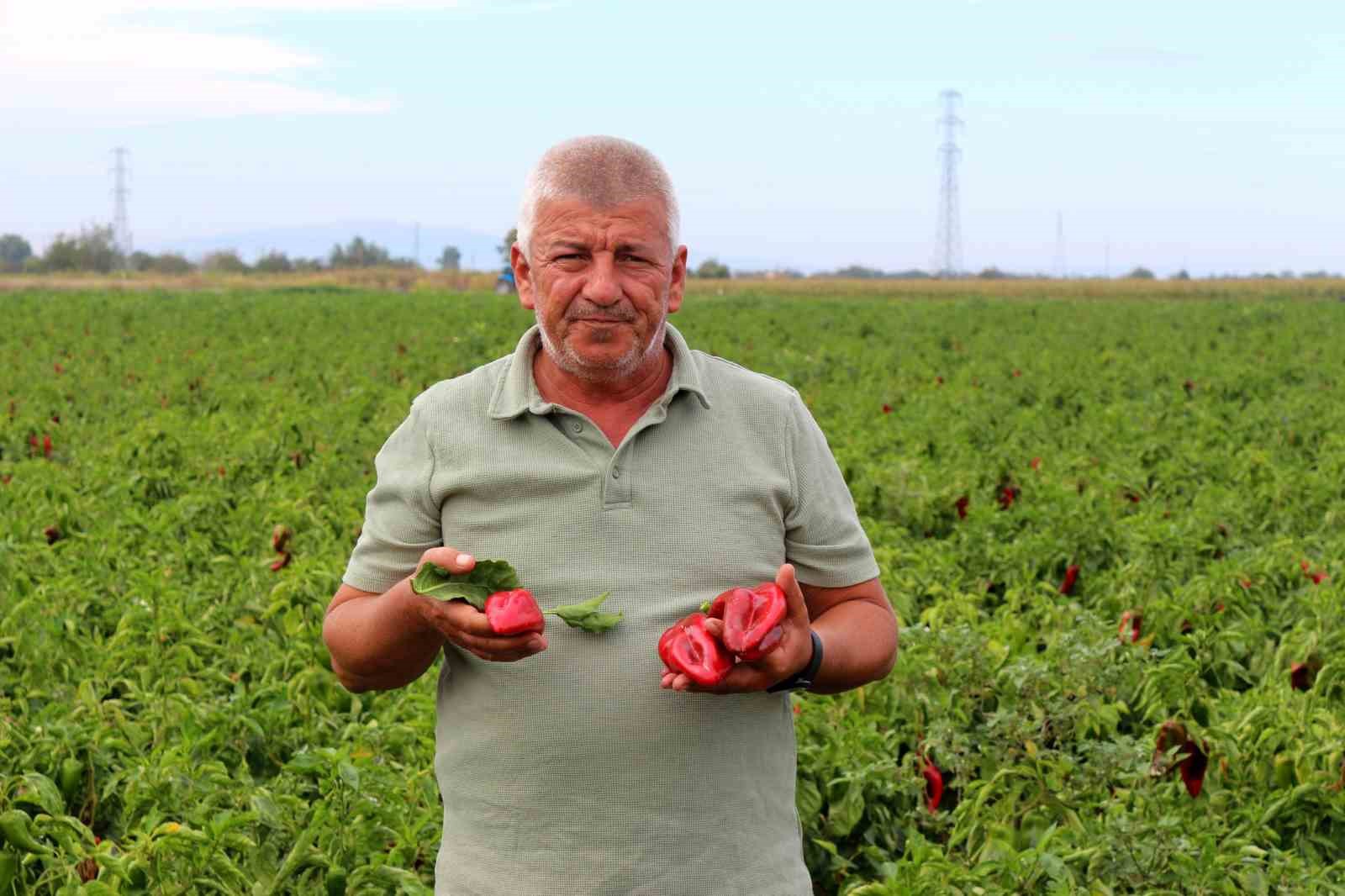 Çiftçilerden çağrı: "Üretim maliyetleri baskılanamaz hale geldi"
Çiftçilerden çağrı: "Üretim maliyetleri baskılanamaz hale geldi"