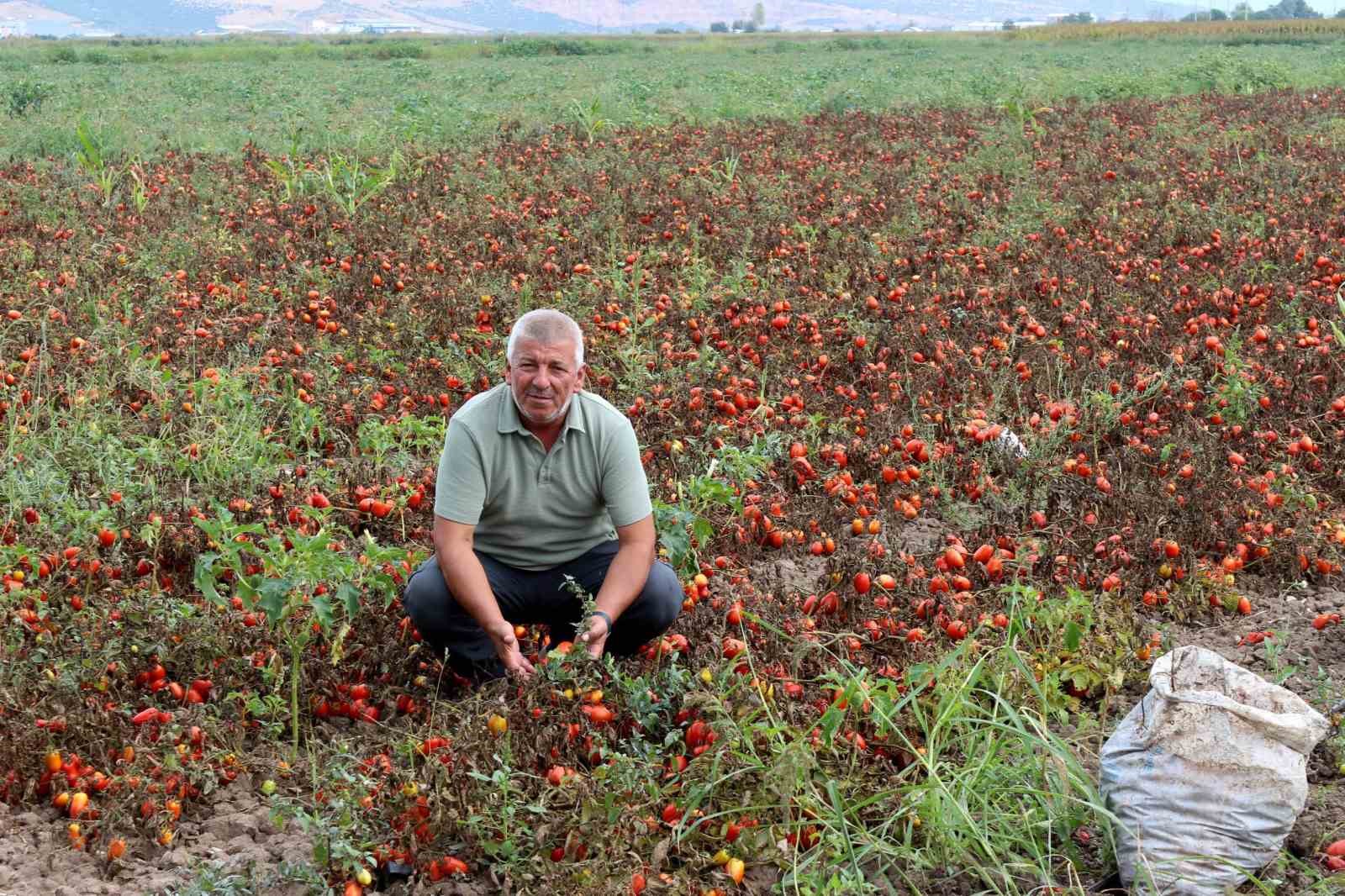 Çiftçilerden çağrı: "Üretim maliyetleri baskılanamaz hale geldi"
Çiftçilerden çağrı: "Üretim maliyetleri baskılanamaz hale geldi"