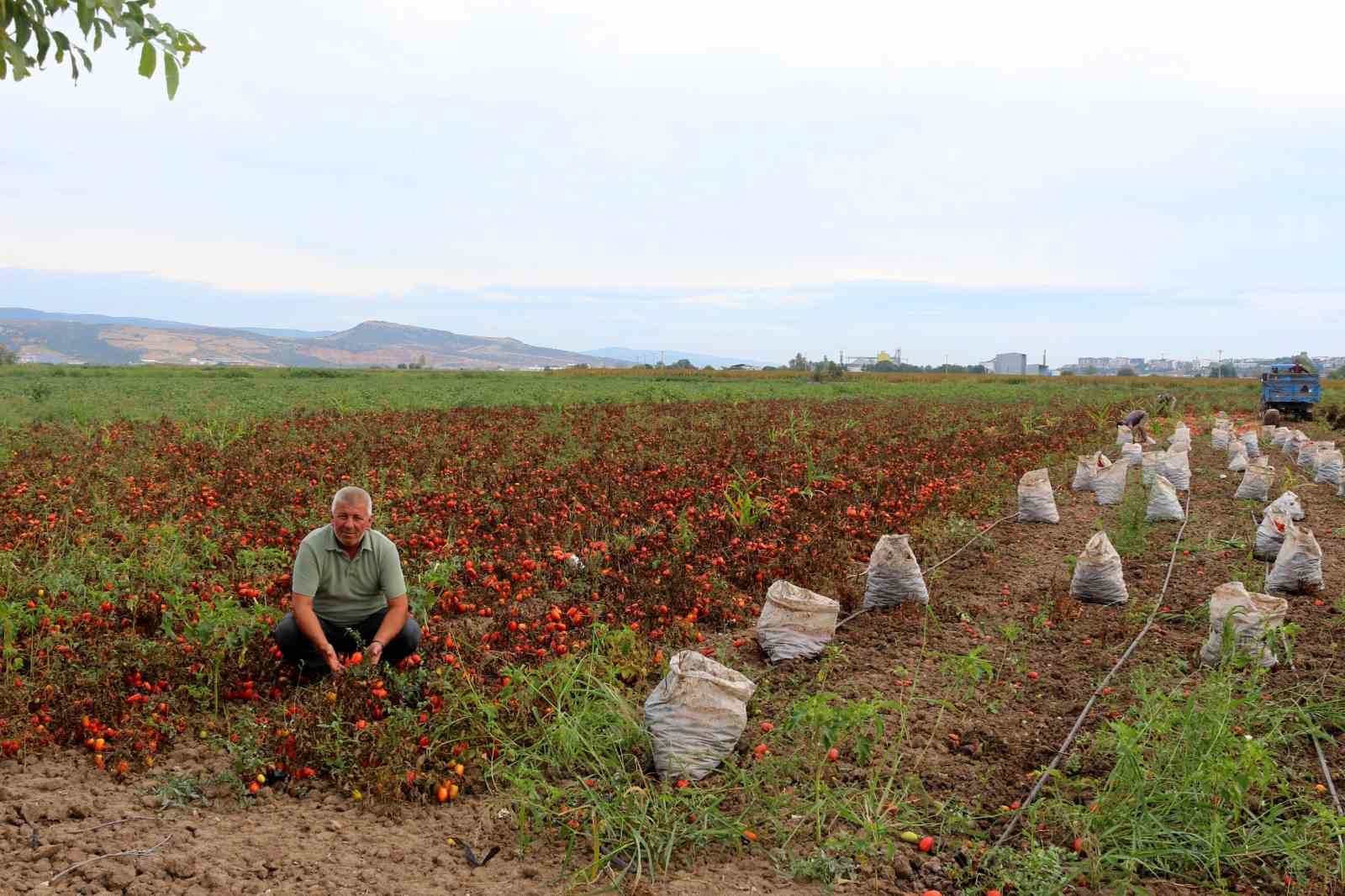 Çiftçilerden çağrı: "Üretim maliyetleri baskılanamaz hale geldi"
Çiftçilerden çağrı: "Üretim maliyetleri baskılanamaz hale geldi"