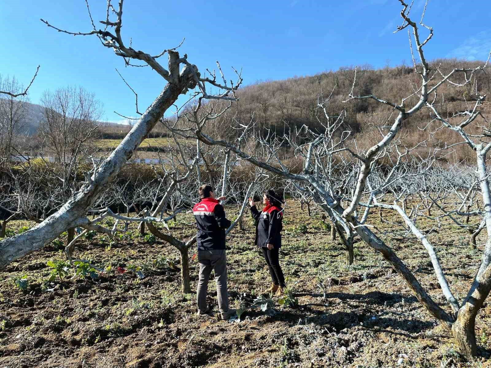 Çiftçilere bordo bulamacı uyarısı
