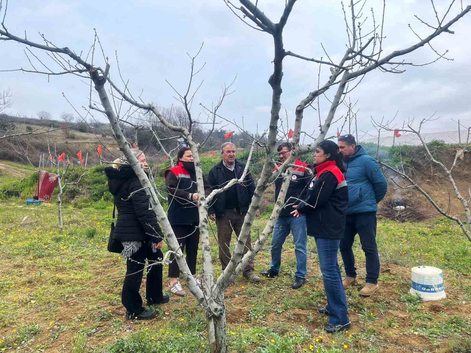 Çiftçilere bordo bulamacı uyarısı
