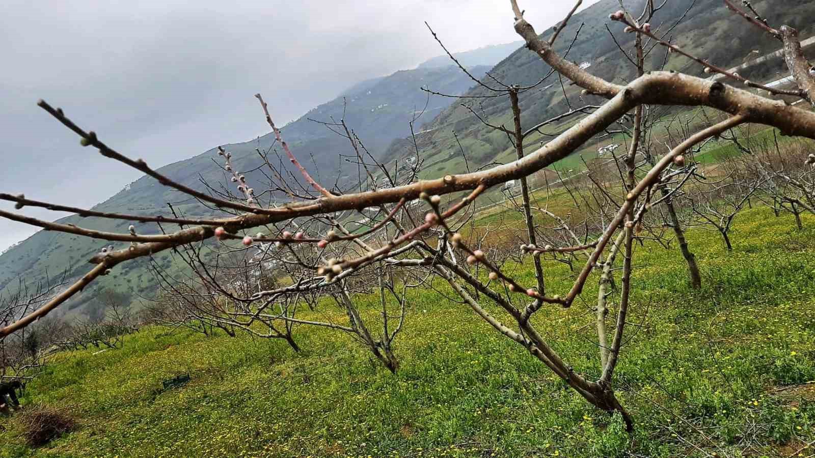 Çiftçilere bordo bulamacı uyarısı
