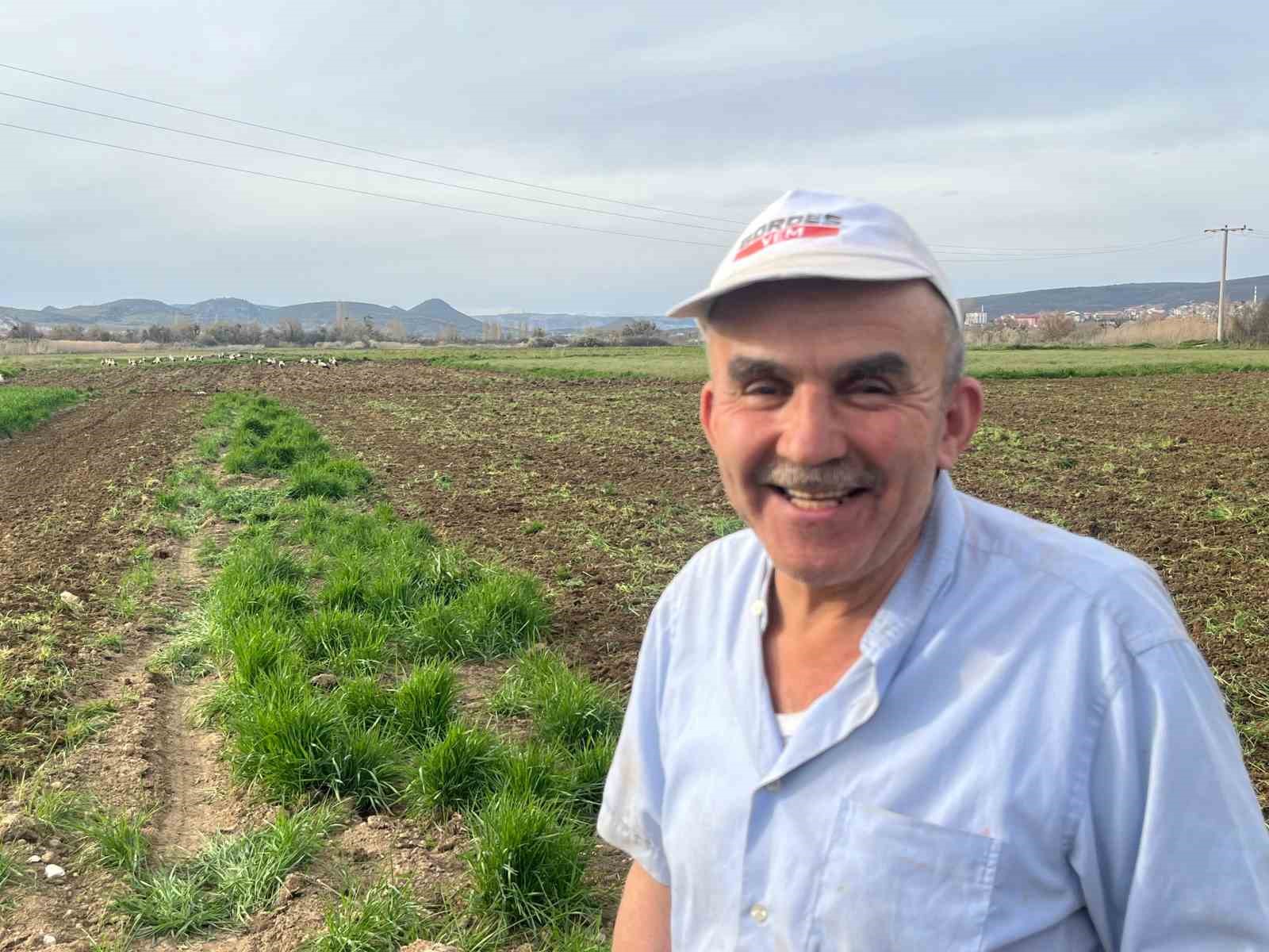 Çiftçinin doğal mesai arkadaşları iş başında
