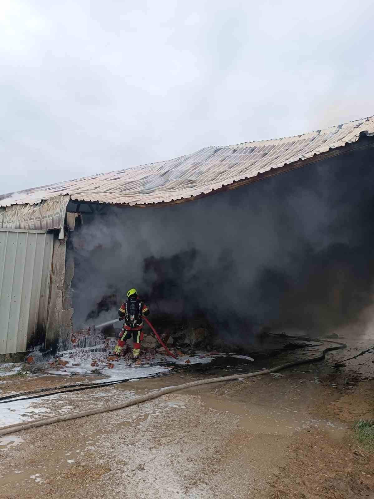 Çiftlikte çıkan yangın paniğe neden oldu
