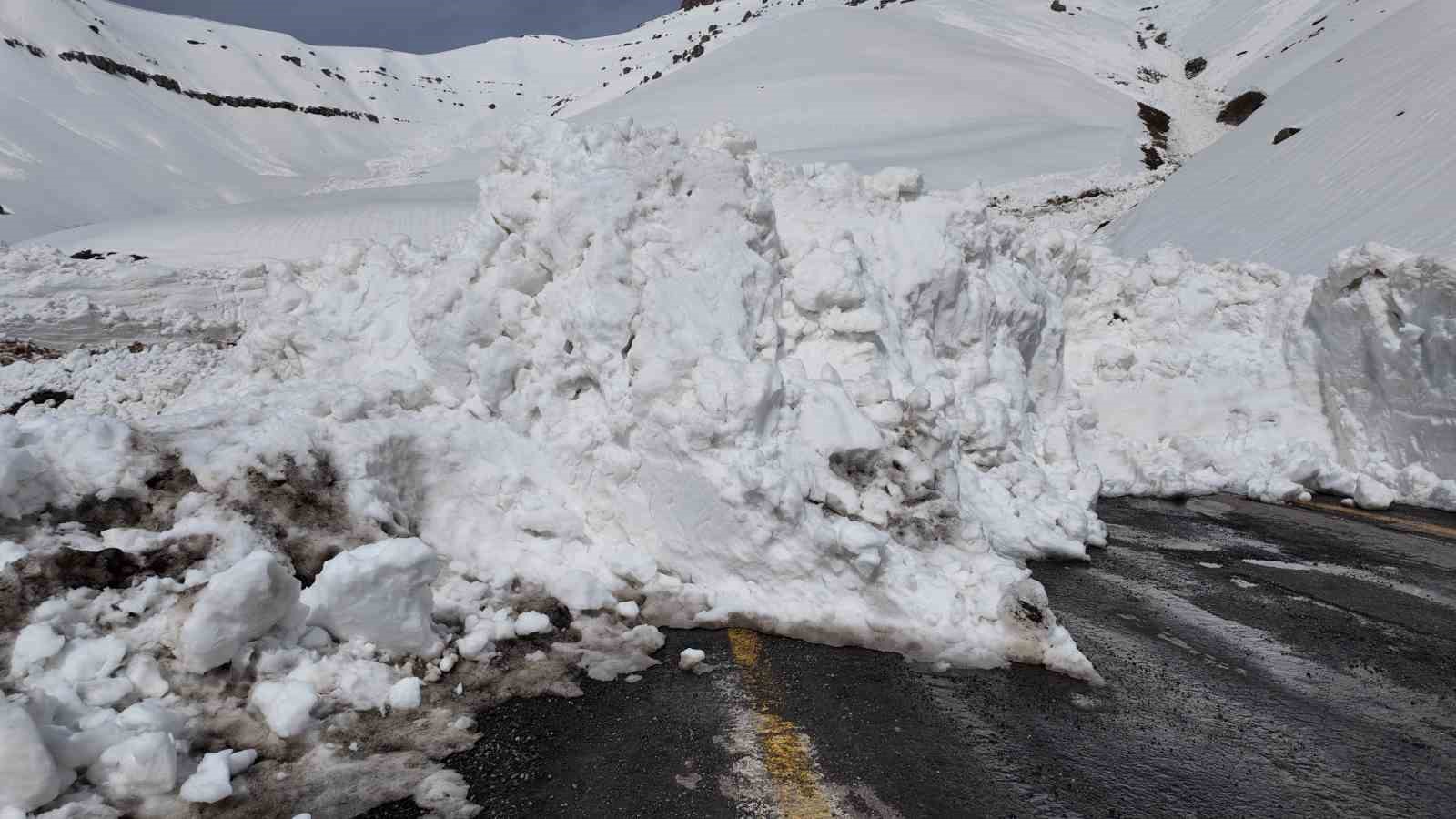 Çığ düşen yolu açma çalışmaları başlatıldı

