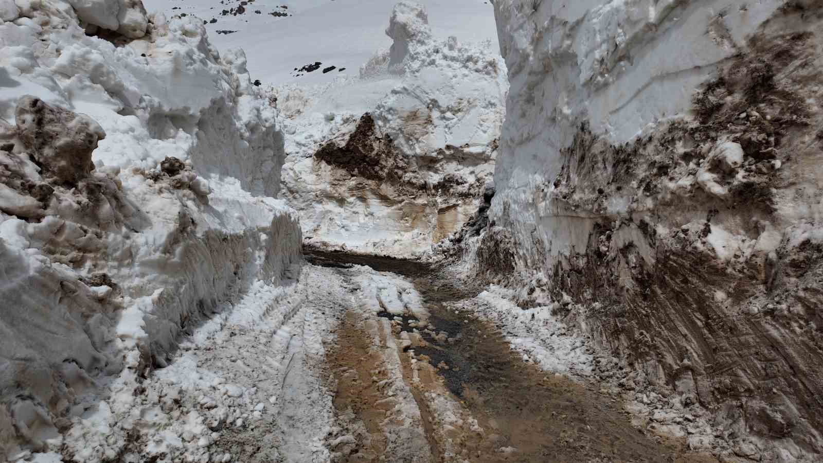 Çığ düşen yolu açma çalışmaları başlatıldı
