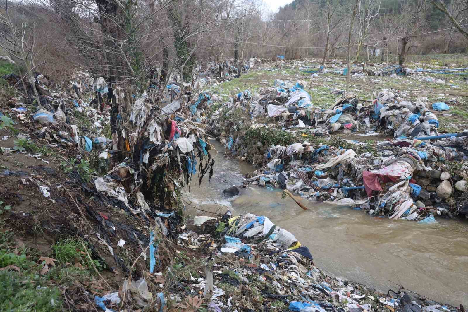 Çilek bahçesi selle birlikte su altında kaldı
