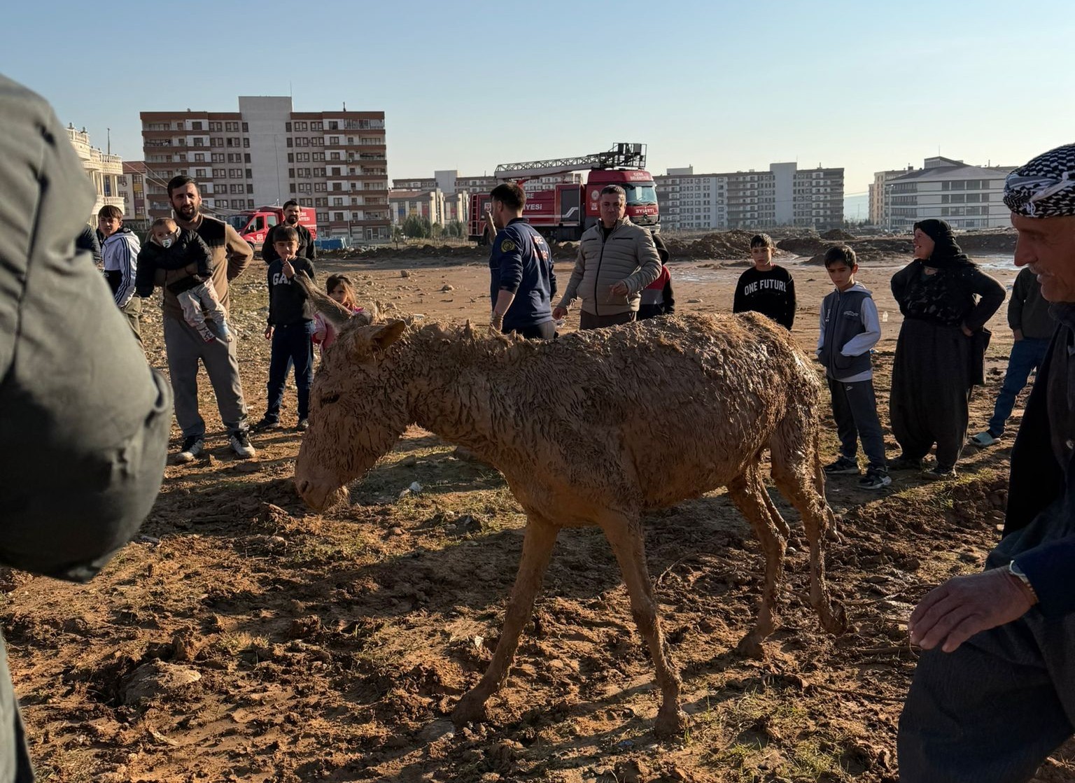 Cizre’de bataklığa saplanan eşekler kurtarıldı
