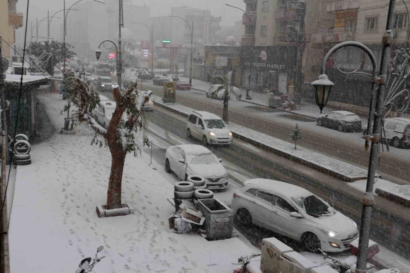 Cizre’de kar yağışı hava ve kara ulaşımını felç etti

