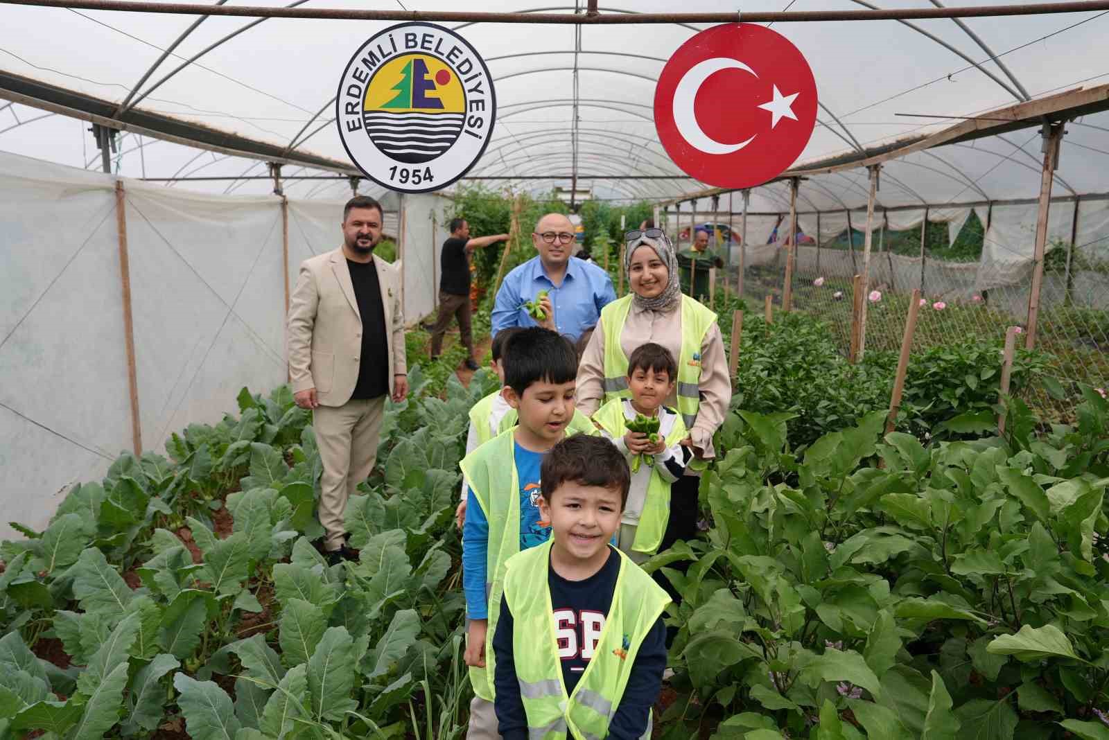 Çocuk serasında minikler yetiştirdikleri sebzeleri hasat etti
