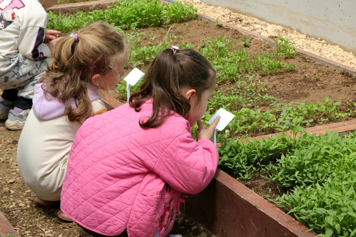 Çocuklar toprak sevgisini Osmangazi’de öğrendi
