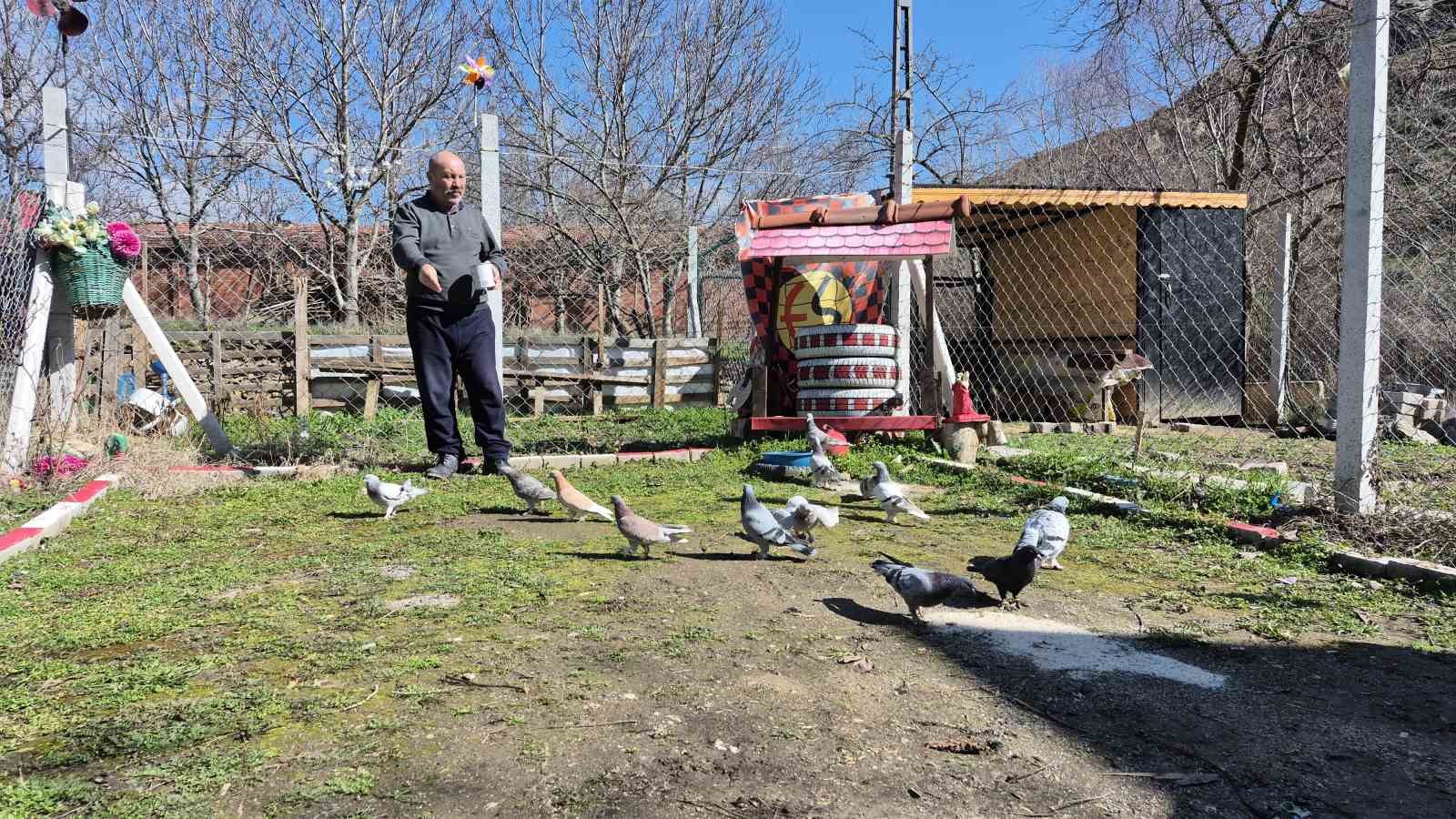 Çocukluğundan bu yana güvercin tutkunu olan adam: "Bir ev parasına kuş veren var"
