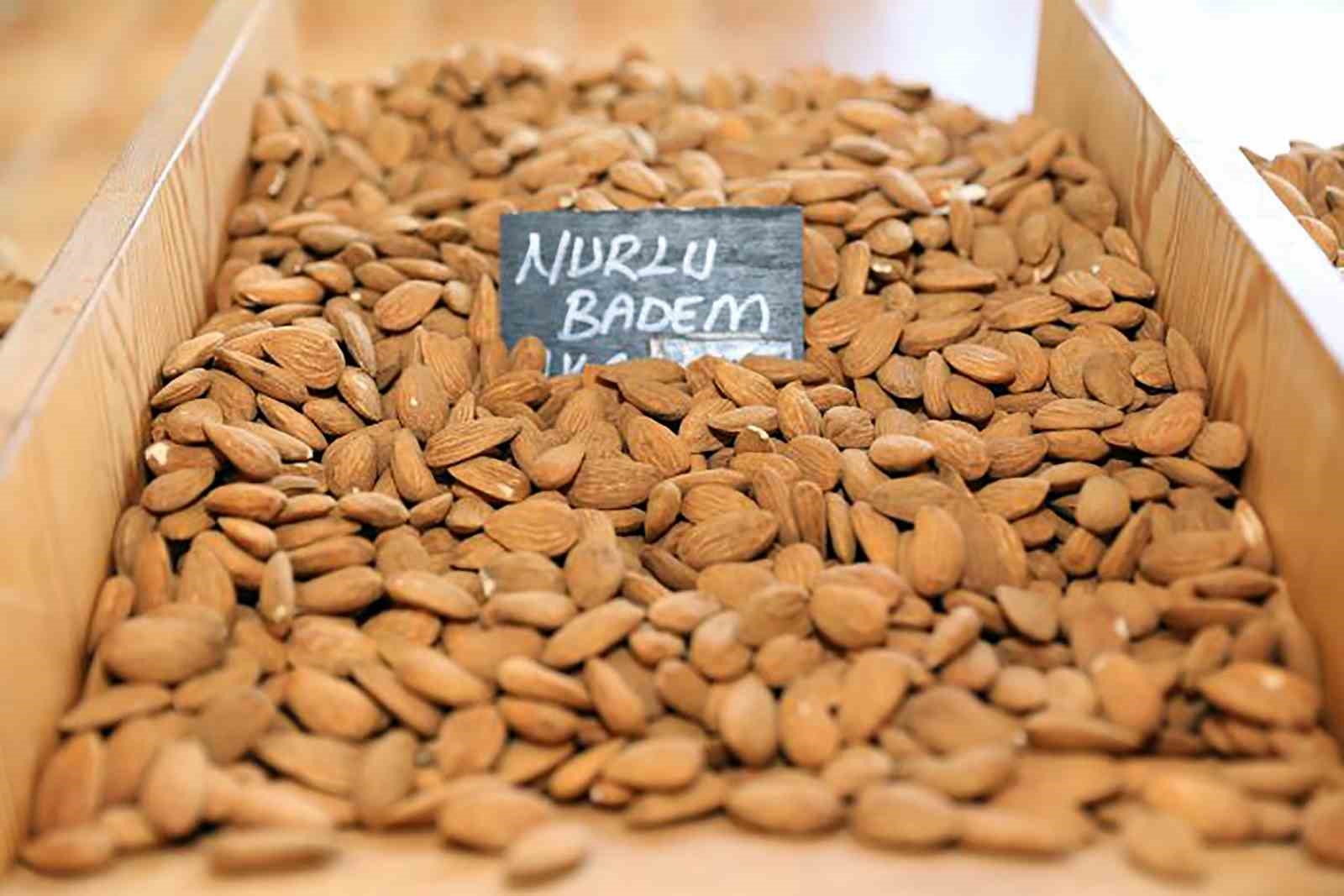 Coğrafi işaretli Datça Nurlu Bademi için Muğla Büyükşehir Belediyesi tesis kuruyor
