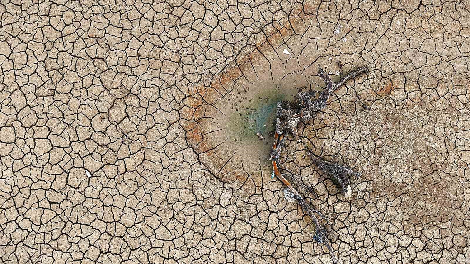 Çöle dönen Gölbaşı Göleti, yeniden hayat buldu
