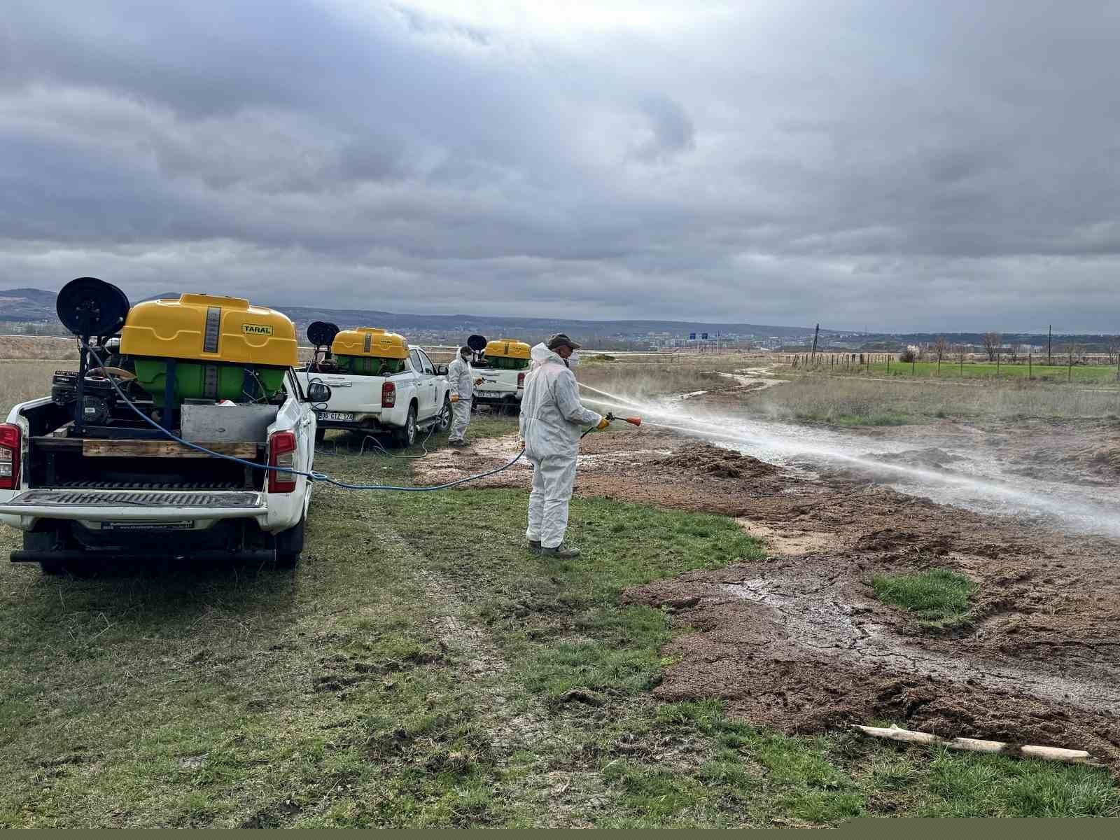 Çorum Belediyesi’nden yaz öncesi vektörle mücadele
