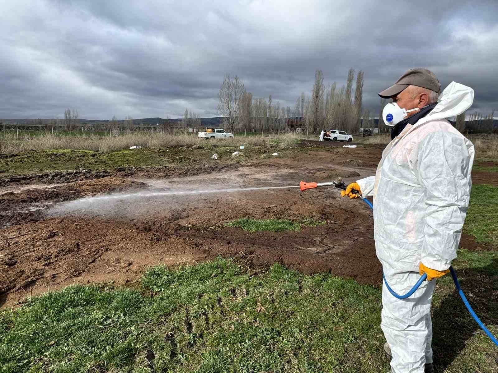 Çorum Belediyesi’nden yaz öncesi vektörle mücadele
