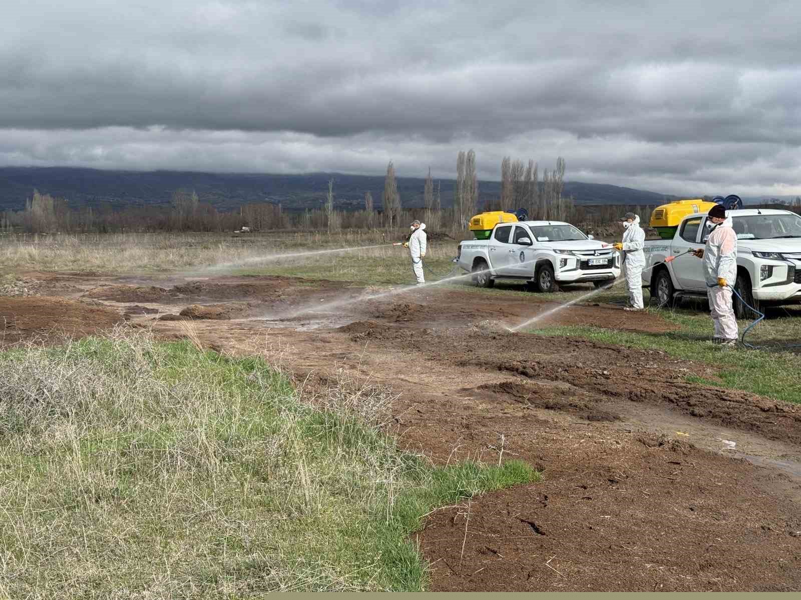 Çorum Belediyesi’nden yaz öncesi vektörle mücadele
