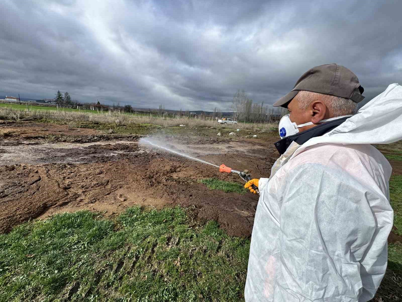 Çorum Belediyesi’nden yaz öncesi vektörle yoğun mücadele
Çorum Belediyesi’nden yaz öncesi vektörle yoğun mücadele