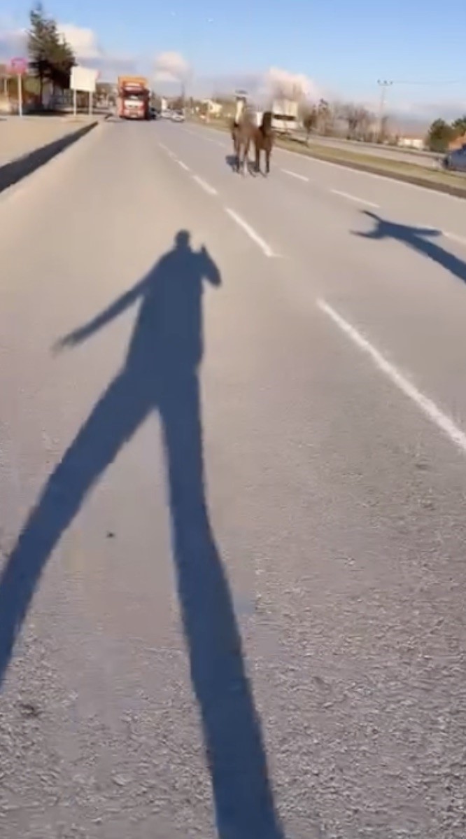 Çorum’da başıboş atlar trafiği tehlikeye attı: O anlar kamerada
