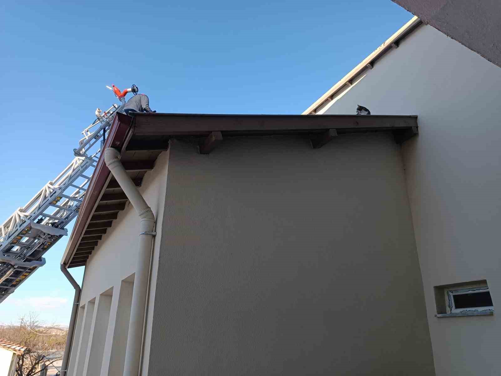 Çorum’da binanın çatısında mahsur kalan kediyi itfaiye ekibi kurtardı
