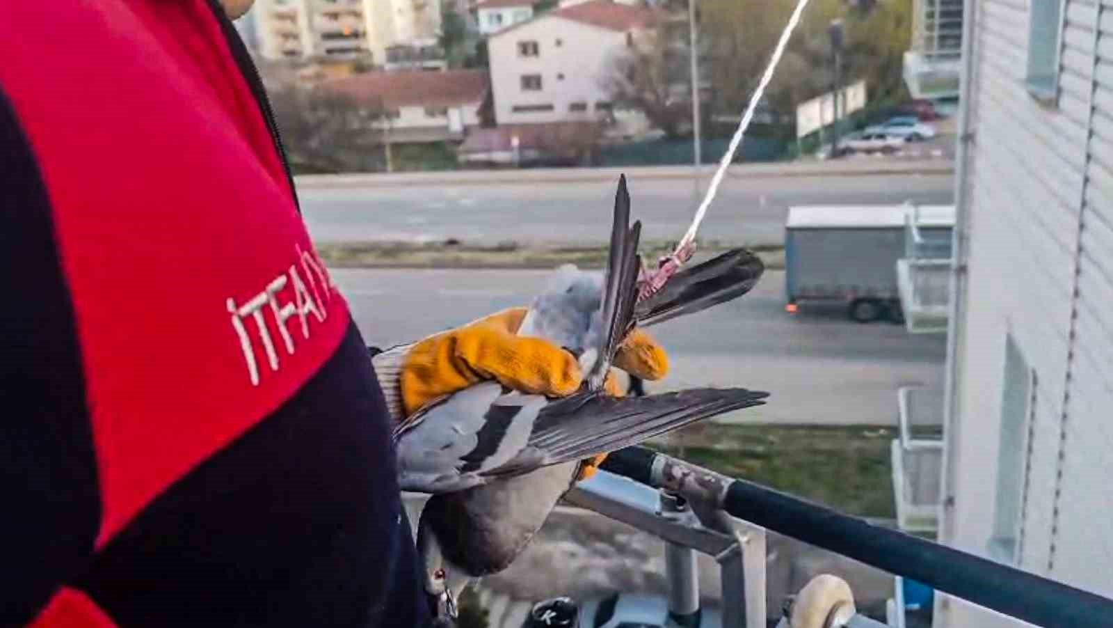 Çorum’da ipe takılan güvercini itfaiye kurtardı
