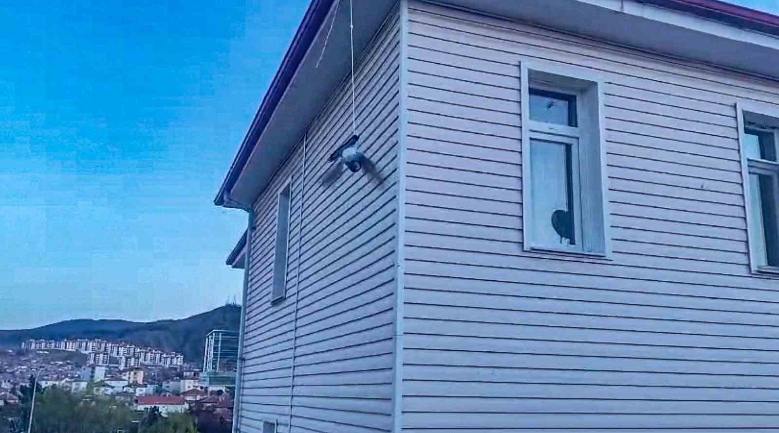 Çorum’da ipe takılan güvercini itfaiye kurtardı
