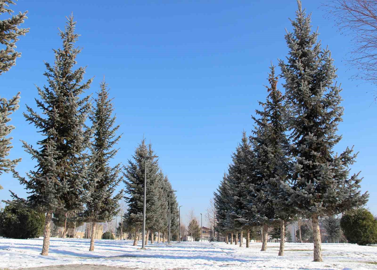 Çorum’da kar kartpostallık görüntüler oluşturdu
