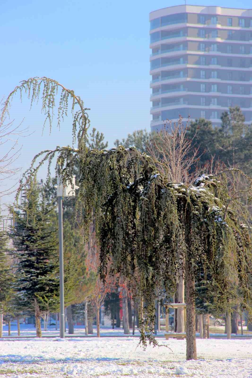 Çorum’da kar kartpostallık görüntüler oluşturdu
