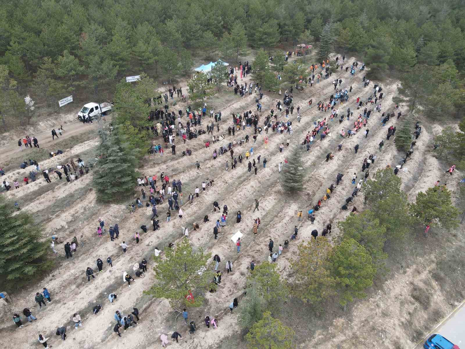 Çorum’da yüzlerce fidan toprakla buluştu
