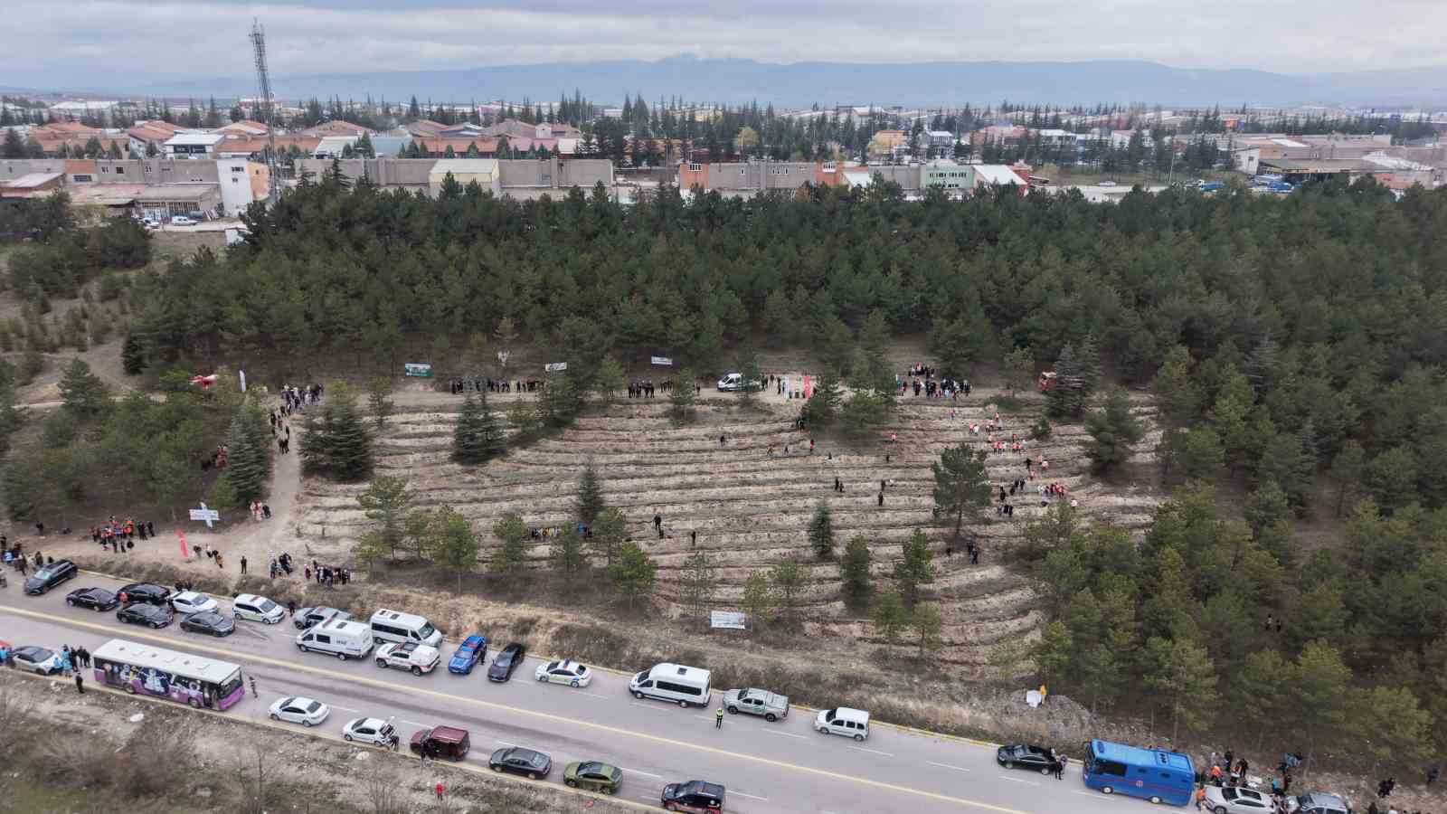 Çorum’da yüzlerce fidan toprakla buluştu
