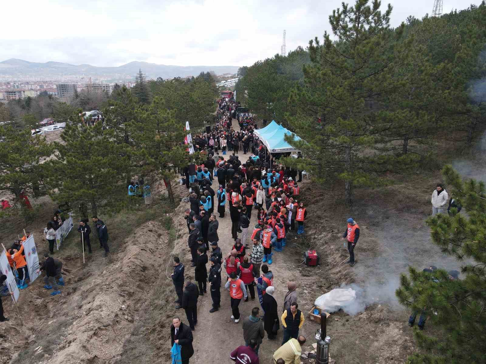 Çorum’da yüzlerce fidan toprakla buluştu
