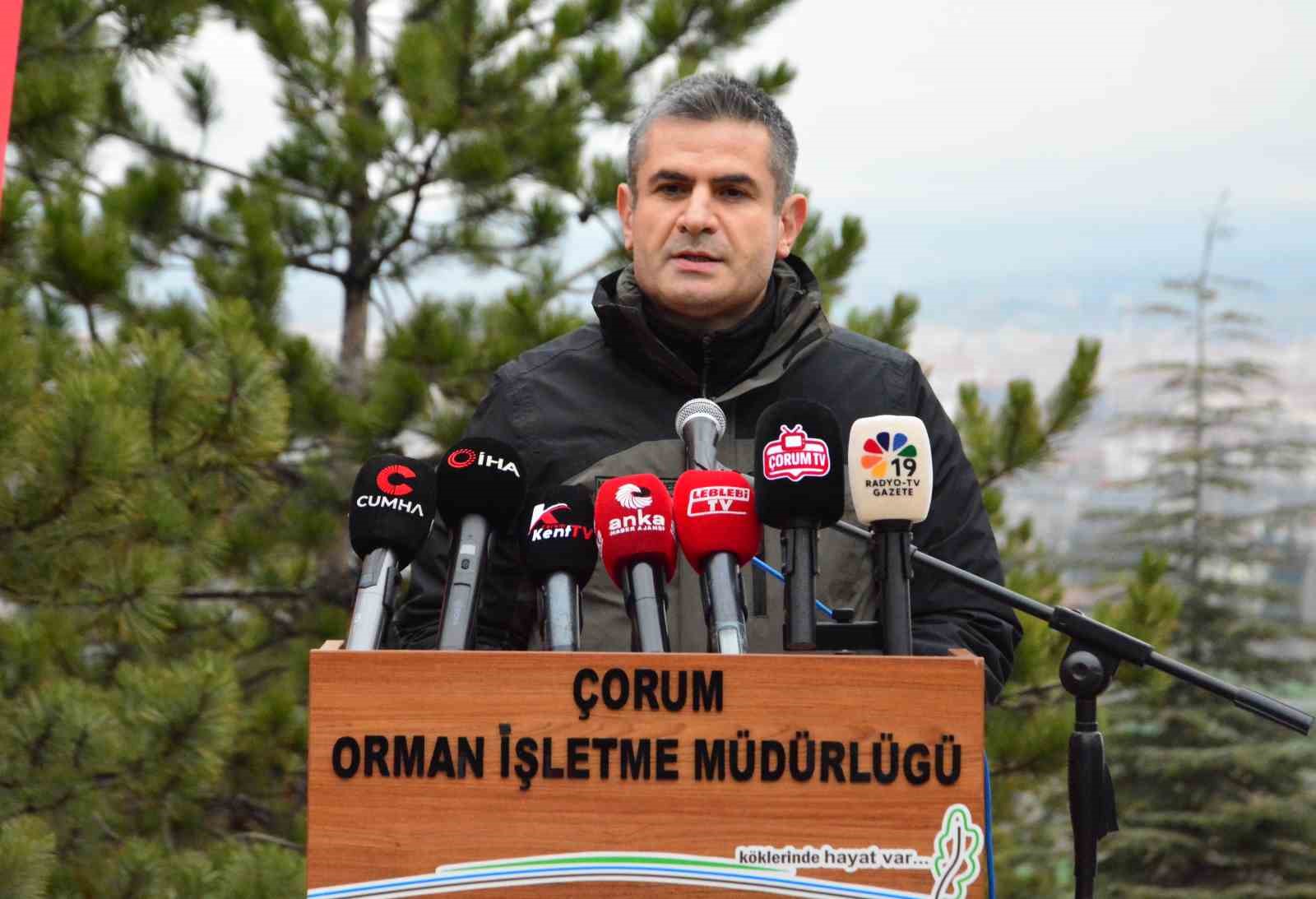 Çorum’da yüzlerce fidan toprakla buluştu
