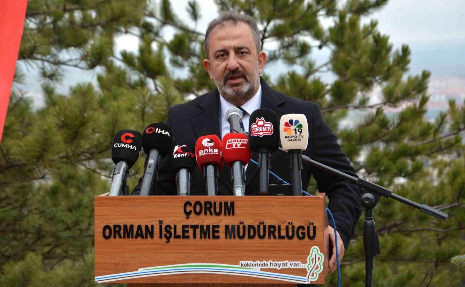 Çorum’da yüzlerce fidan toprakla buluştu
