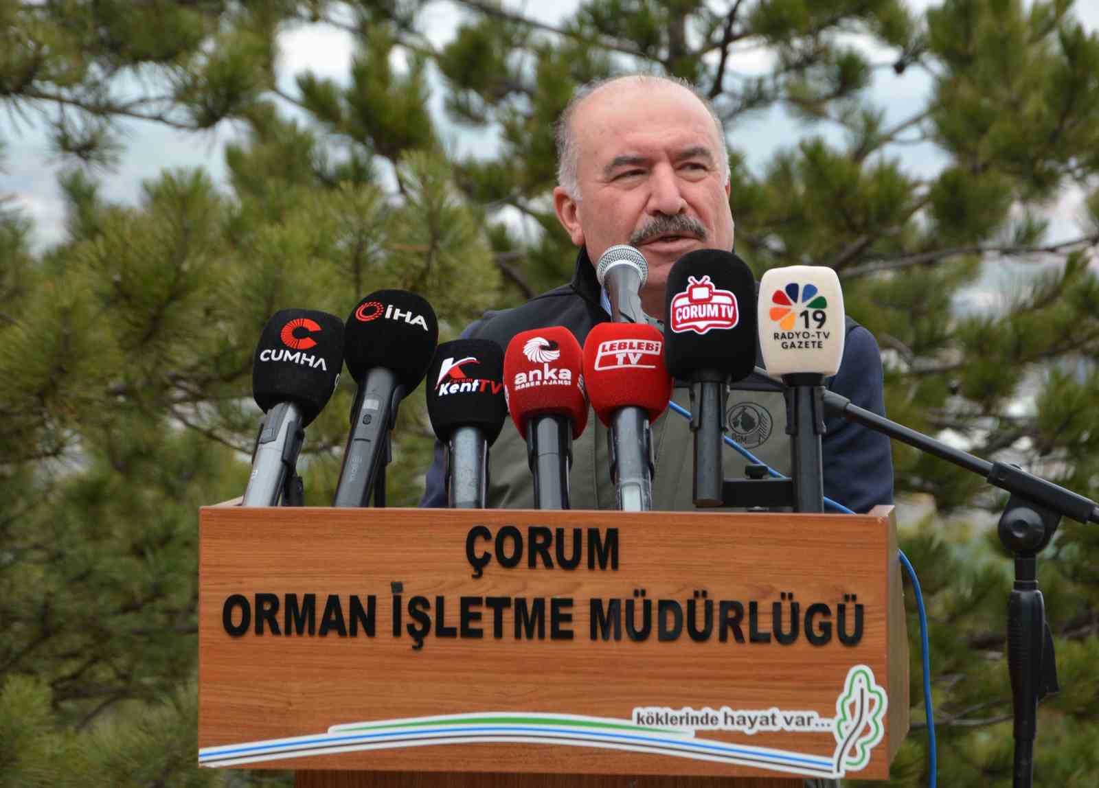 Çorum’da yüzlerce fidan toprakla buluştu
