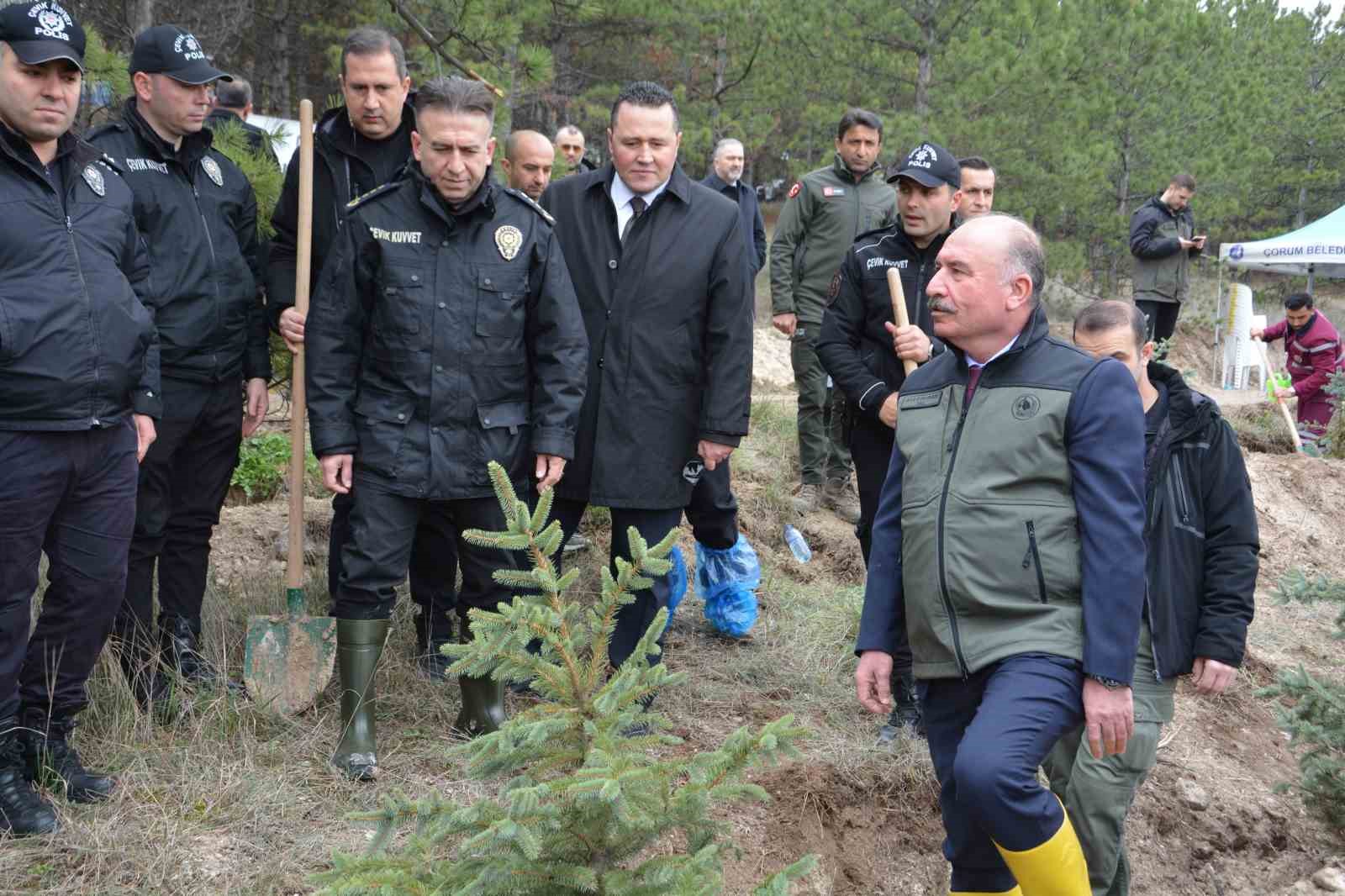 Çorum’da yüzlerce fidan toprakla buluştu
