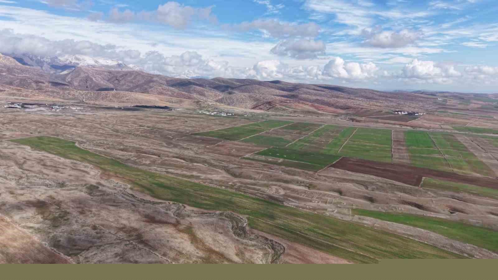 Cudi Dağında ceylan popülasyonu 165’e ulaştı
