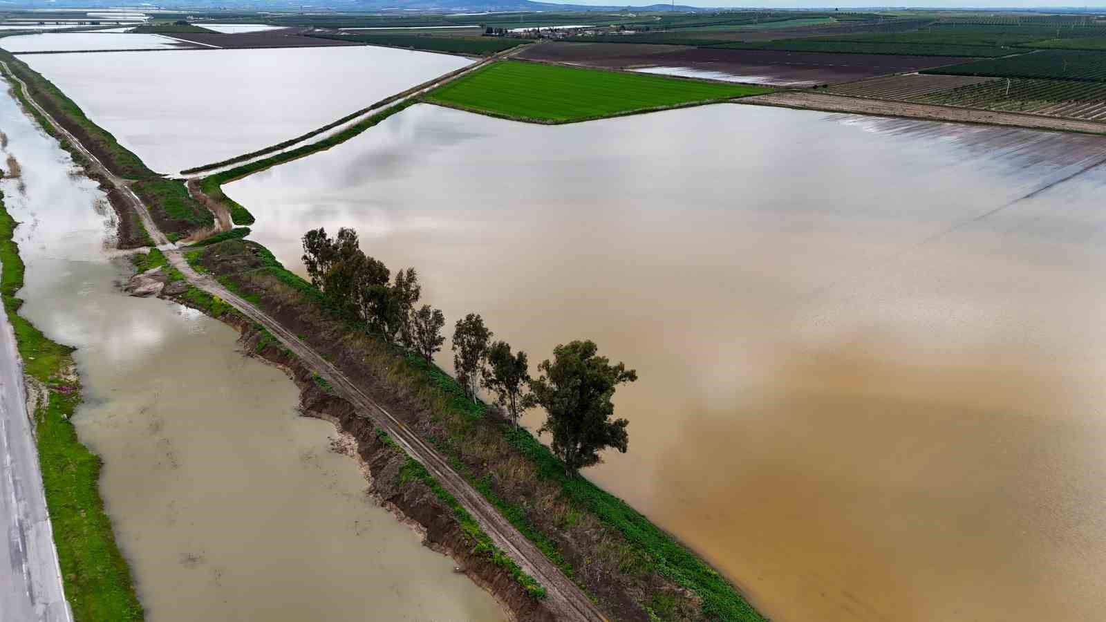 Çukurova’yı yağmur vurdu: Tarım arazileri sular altında
