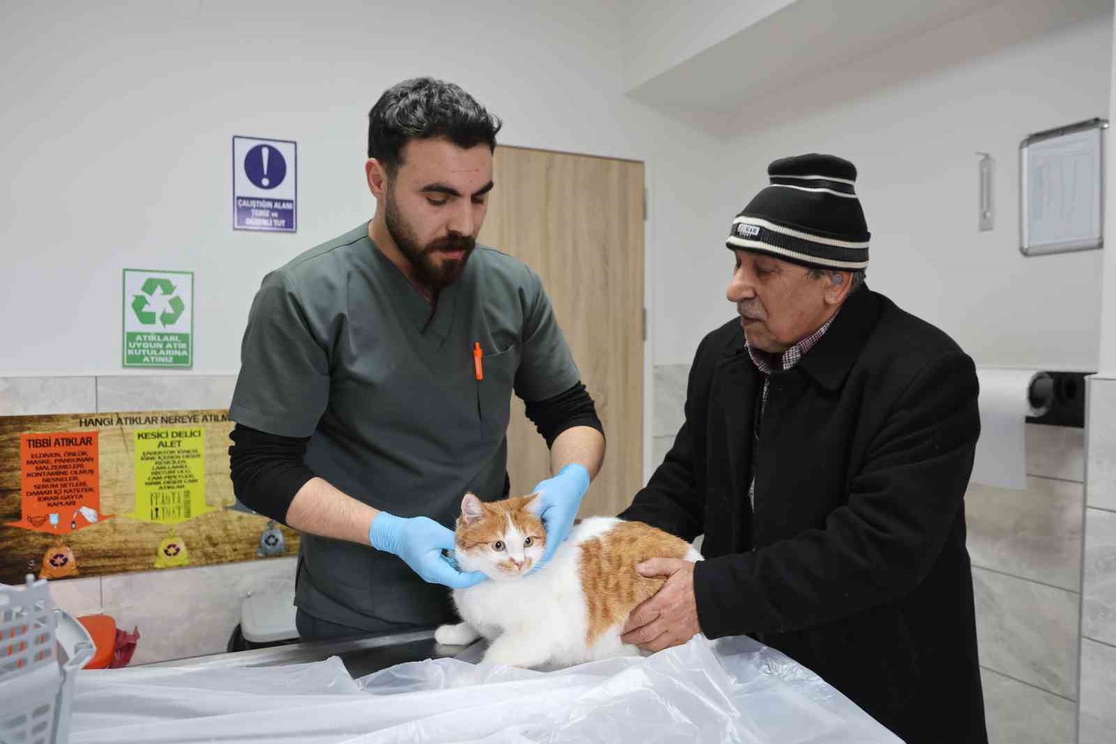 Cumhuriyet tarihinin ilk fakültesine ait hastanede, bir yılda 9 bin 600 hayvan şifa buldu
