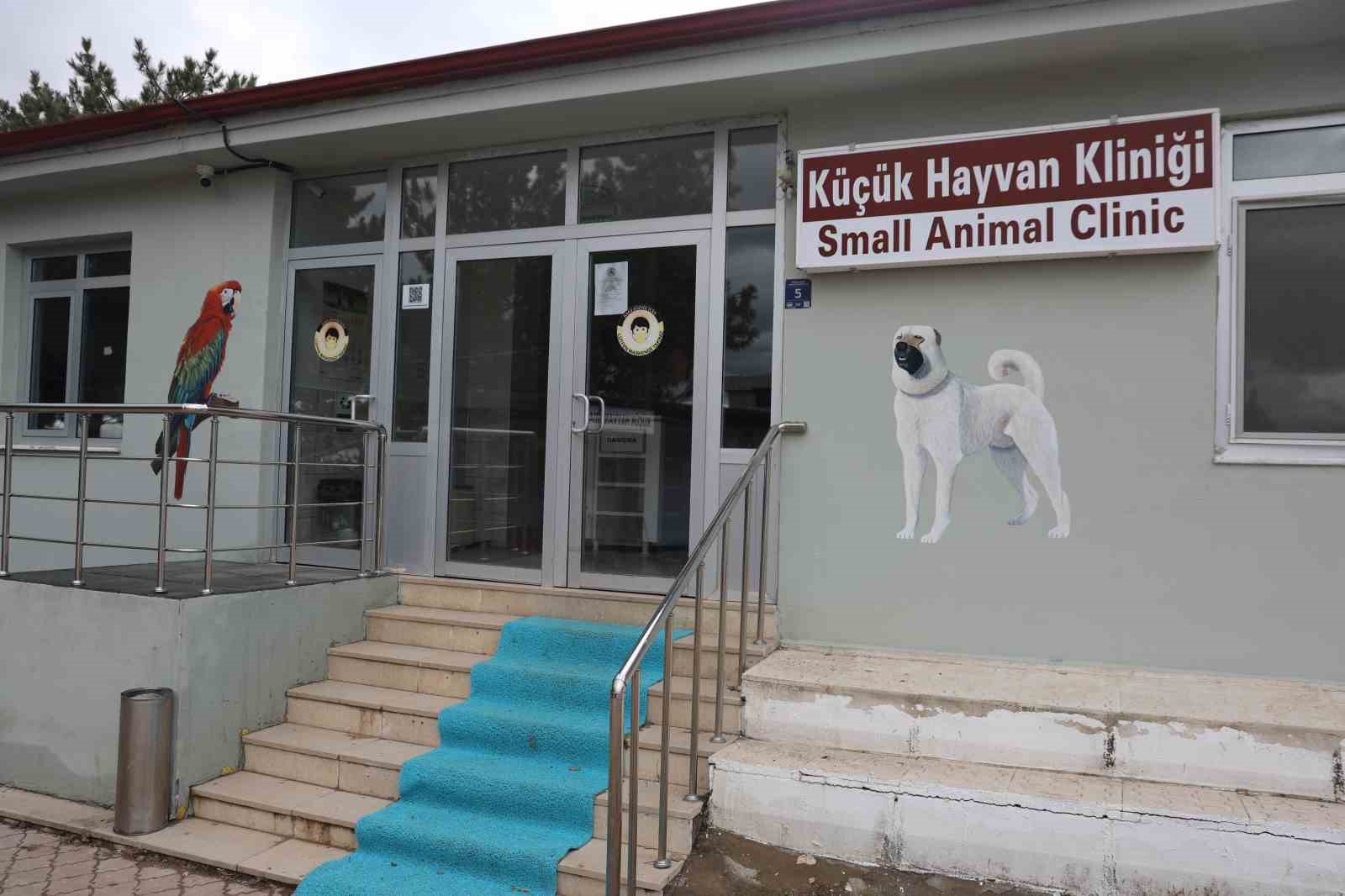 Cumhuriyet tarihinin ilk fakültesine ait hastanede, bir yılda 9 bin 600 hayvan şifa buldu
