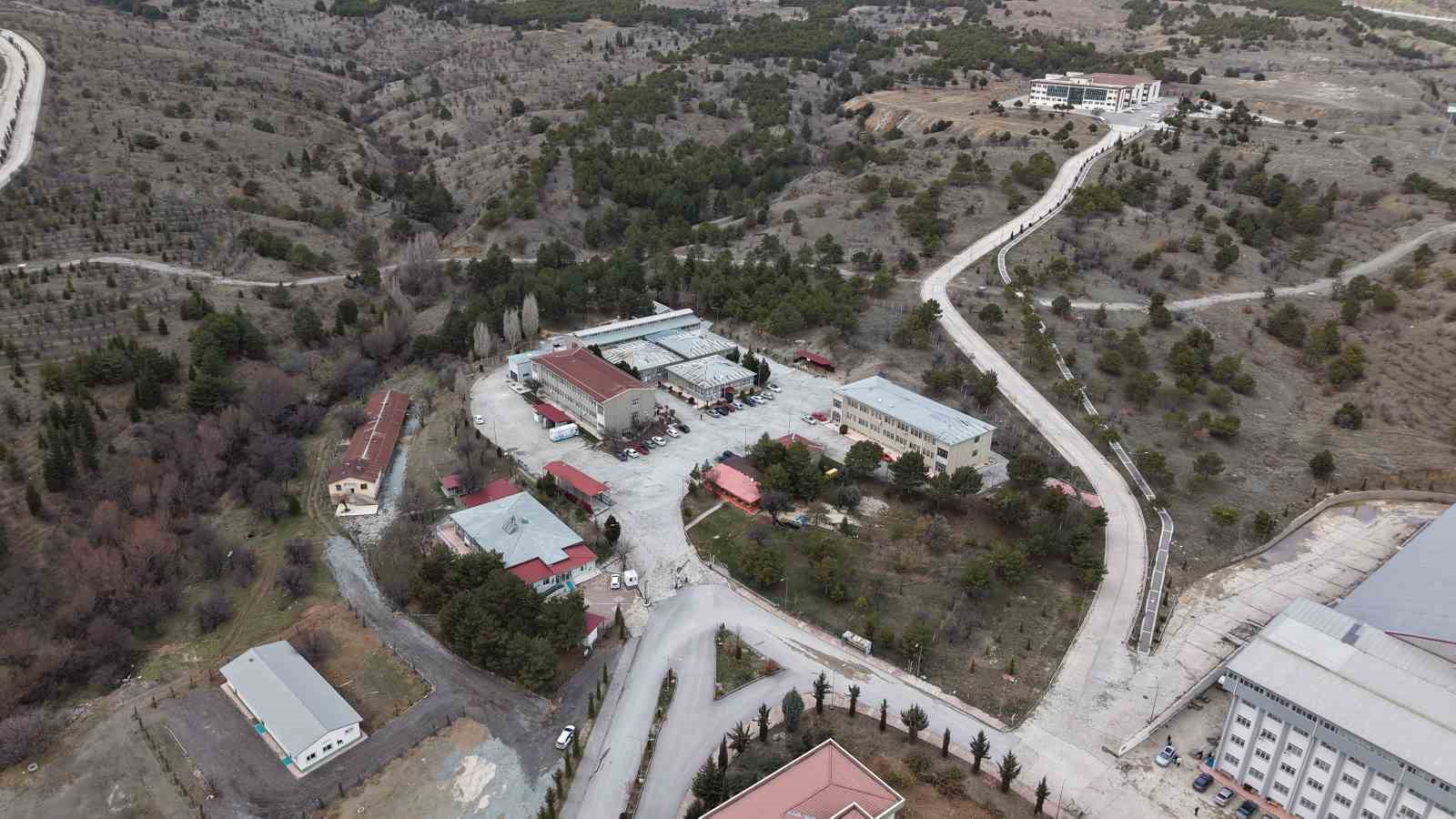 Cumhuriyet tarihinin ilk fakültesine ait hastanede, bir yılda 9 bin 600 hayvan şifa buldu
