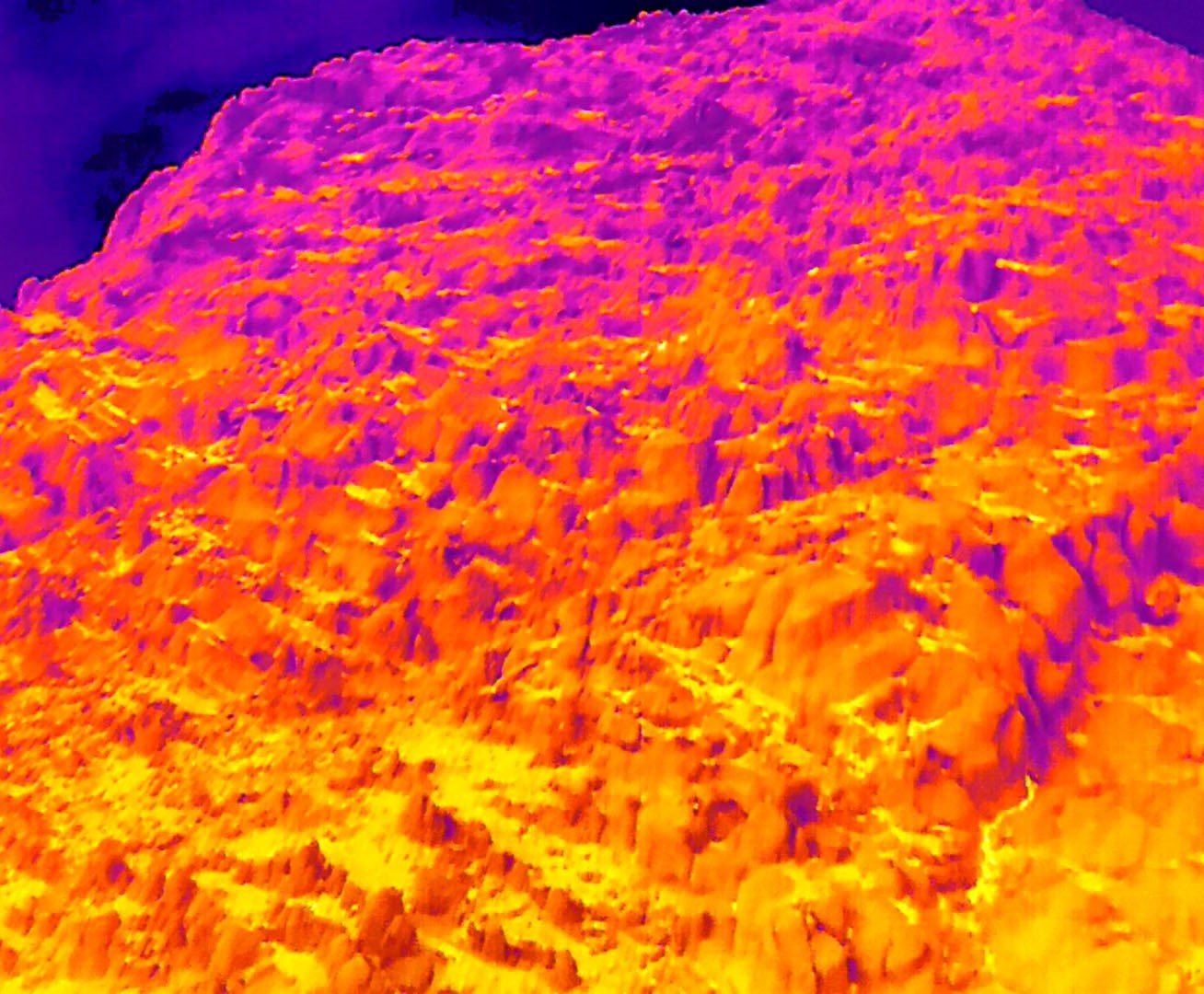 Dağ keçileri termal dron ile görüntülendi
