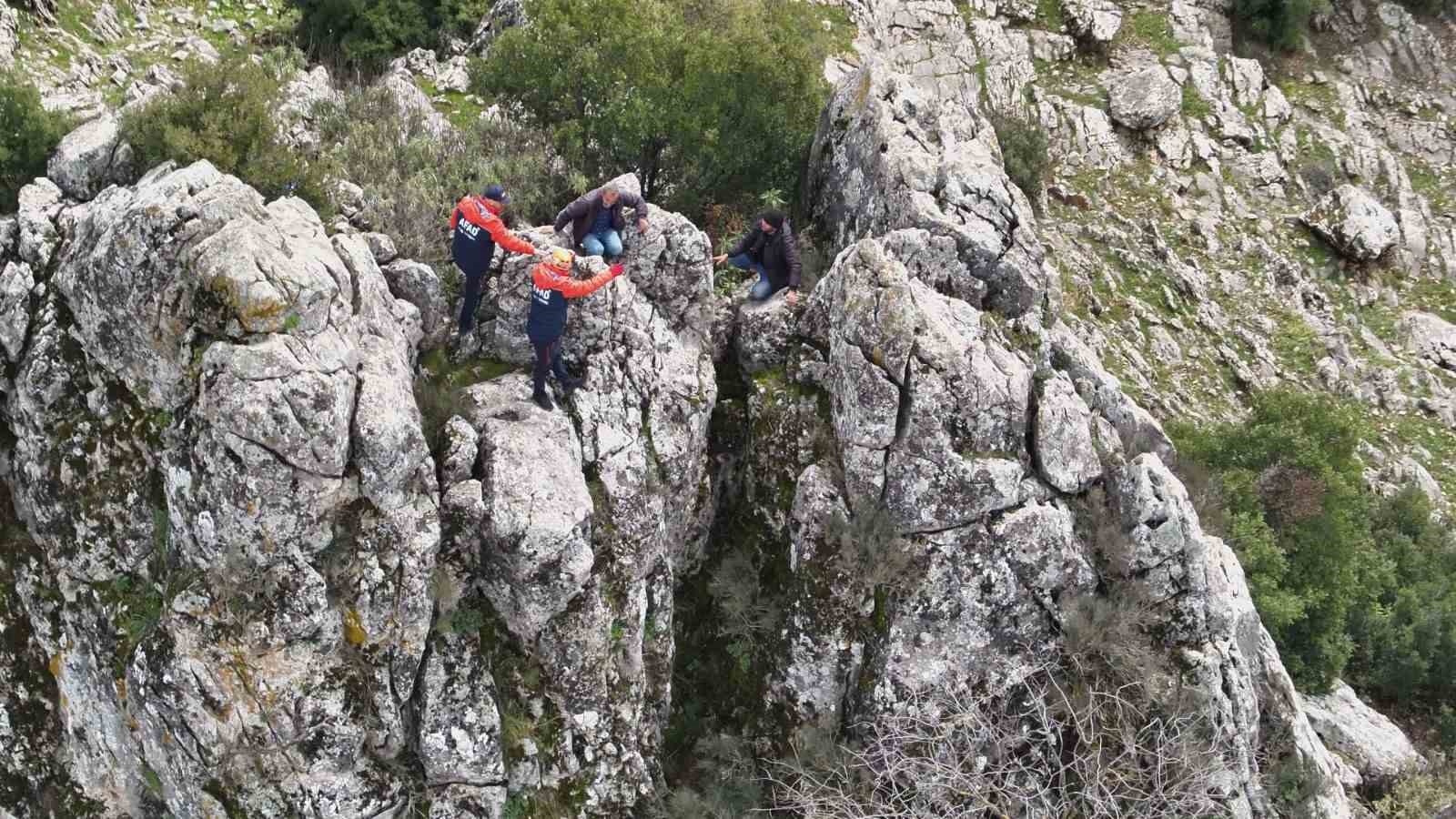 Dağda mahsur kalan keçi kurtarıldı
