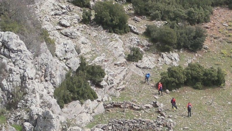 Dağda mahsur kalan keçi kurtarıldı
