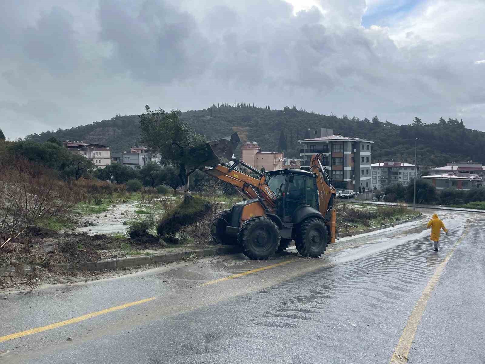 Dağdan kopan zeytin ağacı karayolunu ikiye böldü
