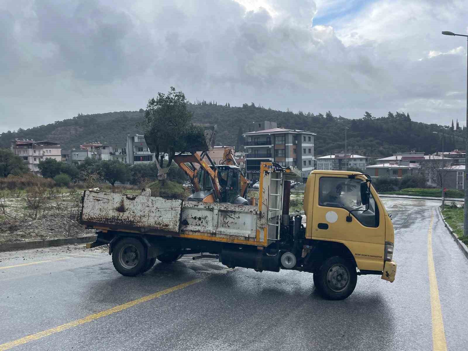 Dağdan kopan zeytin ağacı karayolunu ikiye böldü
