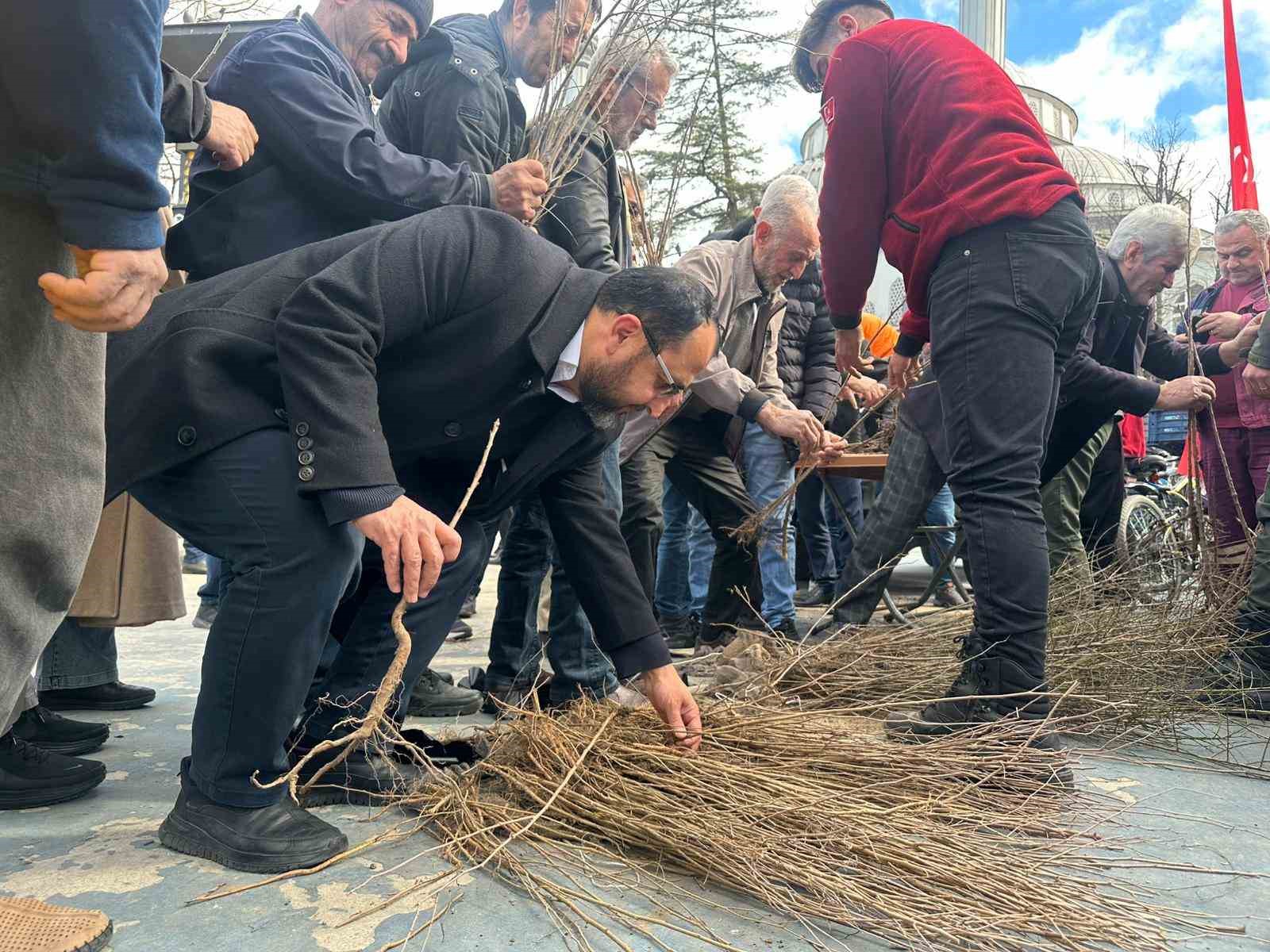 Dağıtılan 2 bin meyve fidesi toprakta hayat bulacak
