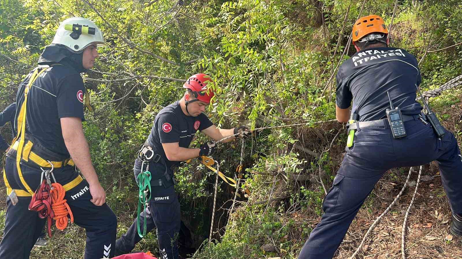 Dağlık alanda otlarken mağaraya düşen inek mağaraya inebilecek kasap bulunamayınca telef oldu
